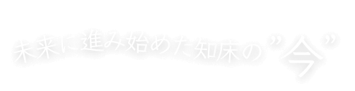 未来に進み始めた知床の今